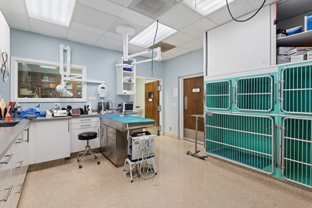 Surgery Room